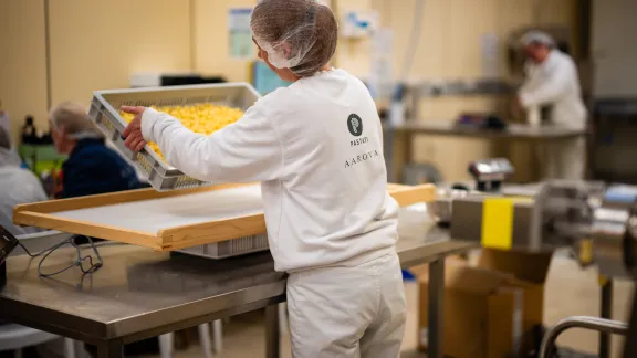 pasta productie