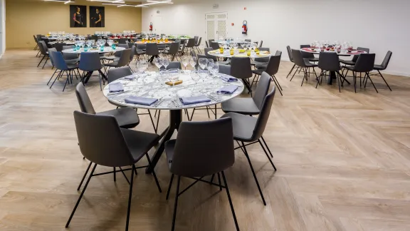 Zaal Beige